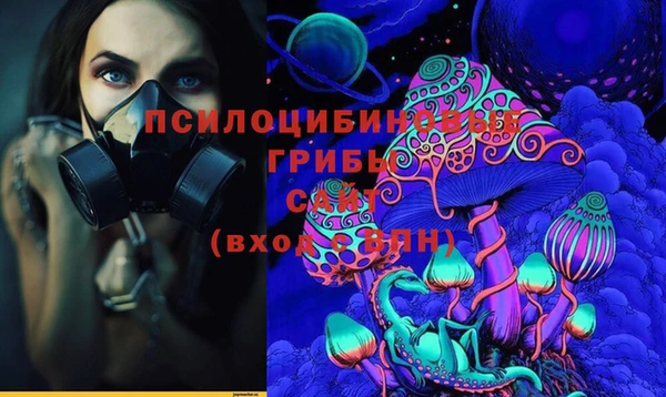 шишки Богданович