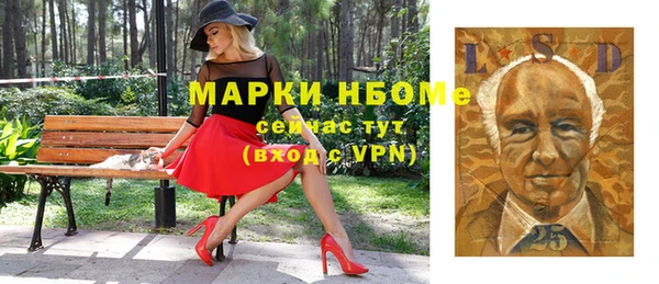 индика Бронницы