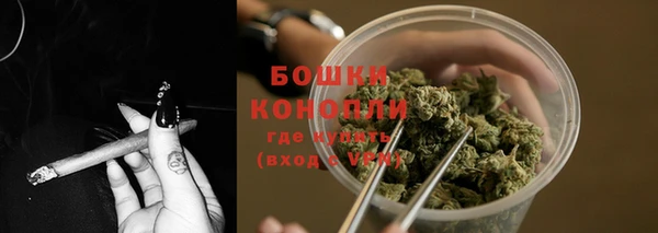 дживик Осташков
