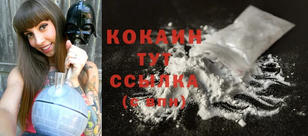 шишки Богданович
