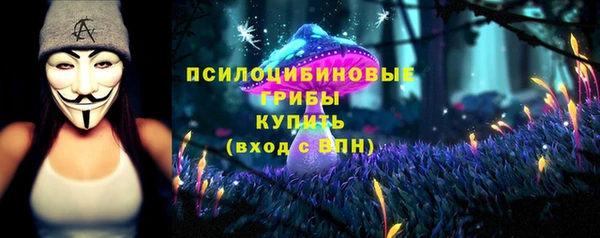 шишки Богданович